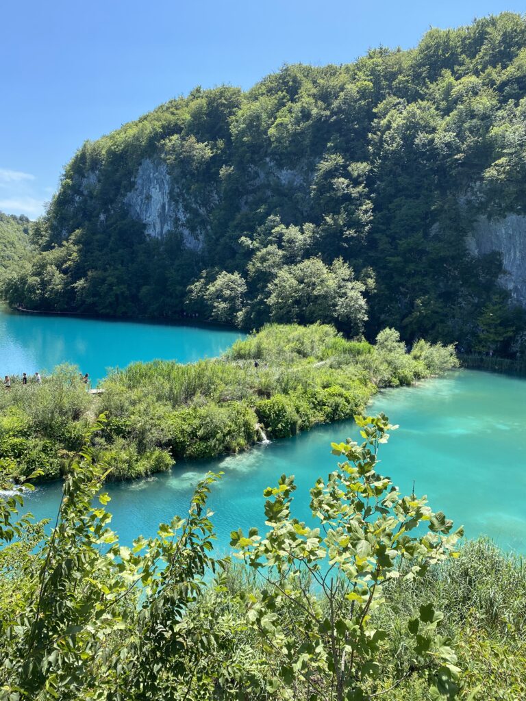 Orange Tree Villa experience in Vinisce, Dalmatia