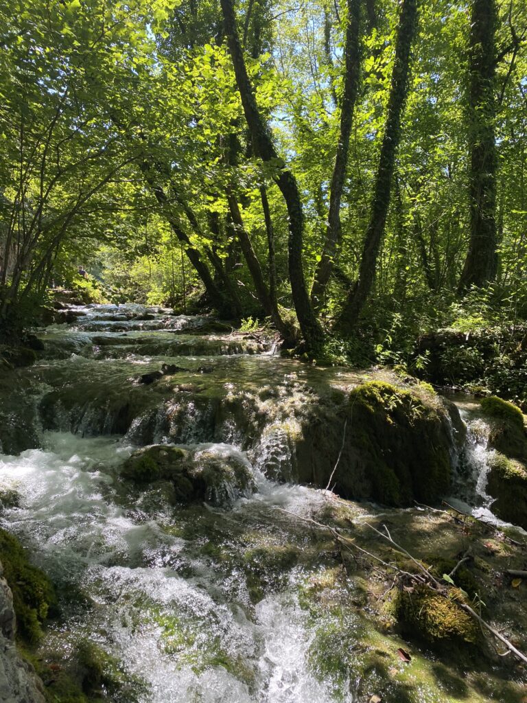 Orange Tree Villa experience in Vinisce, Dalmatia
